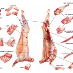 Chilled Whole Carcass